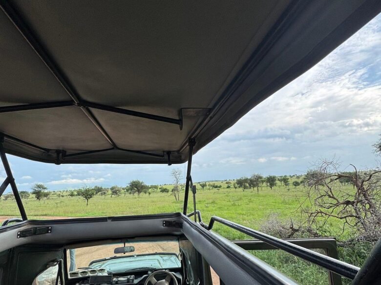 What a Tanzanian safari actually costs, line by line